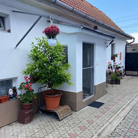 Apartament Brick Airport Cristian  Zewnętrze zdjęcie