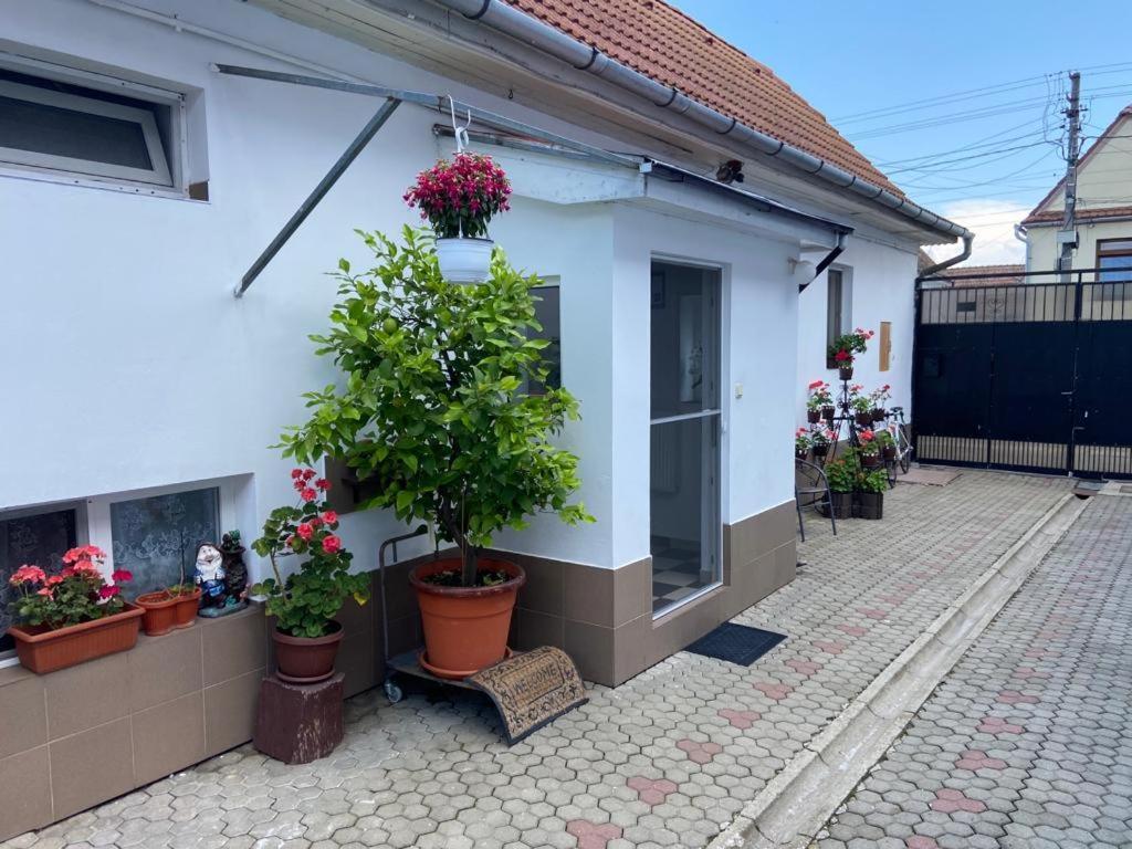 Apartament Brick Airport Cristian  Zewnętrze zdjęcie